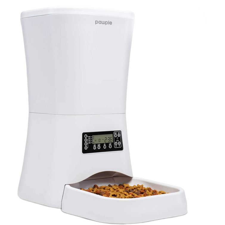 Pawple automatic pet feeder sale